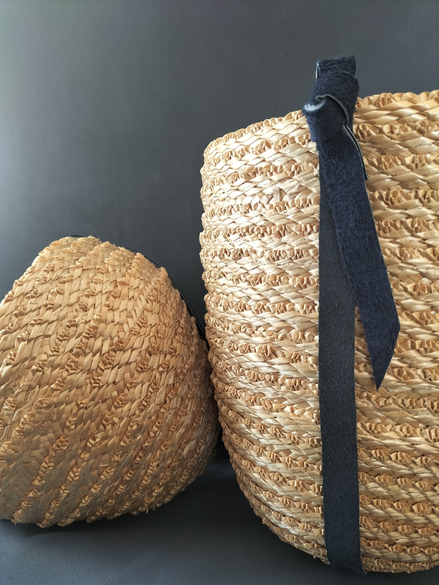 Sac modèle "basic Instinct"